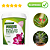 Fertilizante Mineral Misto Forth Rosa do Deserto - 400g - Imagem 3