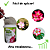 Fertilizante Mineral Misto Forth Rosa do Deserto - 400g - Imagem 5
