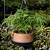 Vaso Redondo Pendurar Nutricoco Suspenso Kit Completo N°4 - Imagem 6