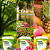 Adubo Fertilizante Forth  400g Jardim Flores Frutas Kit 3 - Imagem 2