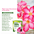 Adubo Fertilizante Forth 400g Flores Rosa Do Deserto Kit 2 - Imagem 5
