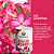Fertilizante Adubo Em Pastilhas Rosa Do Deserto 50g Vitaplan - Imagem 3