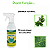 Brilha Folha Dimy  500ml - Imagem 6