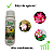 Fertilizante Liquido Dimy Concentrado 04-14-08 500ml Rende até 50L - Imagem 4