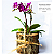 Substrato Forth Orquídeas 1 kg - Imagem 7