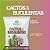Substrato Cactos e Suculentas Vitaplan Condicionador de Solo Classe A Pronto para Uso 2kg - Imagem 3