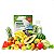 Fertilizante Adubo Forth Enraizador Conc. 60 Ml - Frasco - Imagem 5