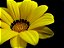 Fertilizante Adubo Para Floração Forth Flores 400g - Imagem 5