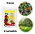 Fertilizante Adubo Npk 10-10-10 5kg Dimy - Imagem 3