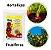 Fertilizante Adubo Npk 10-10-10 5kg Dimy - Imagem 4