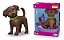 Barbie Pet Care Cachorrinho DJ com Acessórios - Imagem 2