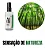 AROMATIZANTE AUTOMOTIVO - BAMBU 55ML - Imagem 1