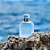 Light Blue Pour Homme Eau Intense Dolce & Gabbana Eau de Parfum - Perfume Masculino 50ml - Imagem 2