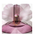 Euphoria for Women Calvin Klein Eau de Toilette - Perfume Feminino 100ml - Imagem 4