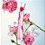 Flower by KENZO Poppy Bouquet Kenzo Eau de Parfum - Perfume Feminino 30ml - Imagem 2