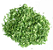 Salsa Desidratada 200g - Imagem 1