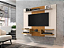 PAINEL ATLAS - Imagem 1