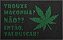 Tapete Capacho Trouxe Maconha - Imagem 2