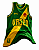REGATA VASCO BRASIL VERDE - LEGÍTIMO - Imagem 2
