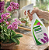 FERTILIZANTE ORQUIDEA FLORAÇÃO 500ML FORTH - Imagem 4
