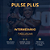 Kit Pulse + PLUS – Intermediário – Zil Silva - Imagem 1