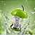 Perfume Cursed – Unissex - Arabiyat Prestige - Imagem 2