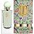DYNASTY NARA - EDP - 75ml - Imagem 1