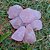 Quartzo Rosa Bruto - Imagem 1