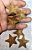 ESTRELA COUNTRY 5cm - 2und - Imagem 3