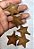 ESTRELA GUIZO 4,5cm - 2und - Imagem 1