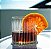 JOGO 6 COPOS CRISTAL LAPIDADO - 320 ML - WHISKY / ROCKS - 94 H x 80 D MM - LINHA SOHO - Imagem 1