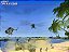 Jogo Joint Operations Combined Arms Pc Original Mídia Fisica Lacrado - Imagem 8
