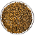Sementes de Crambe - Imagem 1
