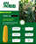 1.000 Sementes Milho 3066 BTMAX Fortis NDB R1 - Fracionado - Imagem 4