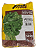 Semente de Coentro Verdão – 500g – Superseed - Imagem 1