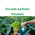 Adubo Liquido Frutiferas Potassio Premium K40% Foliar Solo 1Litro - Imagem 3
