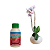 Fertilizante Adubo Orquídeas Líquido Concentrado 100ml - Imagem 1