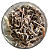 Semente de Capim Sarandi (Andropogon melhorado) – Embalagem 6 kg - Imagem 1
