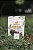 Duck Chews - Imagem 1