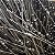 Diodo Zener 8.2V 1W 1N4738A Encapsulamento DO-41 - Imagem 4