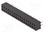 Barra Fêmea Dupla 34 Pinos 2x17 Passo 2,00mm DS1026-05-2x17S8BV - Imagem 1