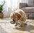 Comedouro Cachorro e Gato Compartimento Duplo P 300ml Acrílico 35cm Acripet House - Imagem 3