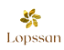 GLOSS LOPSSAN - Imagem 4