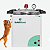 AUTOCLAVE SSae VERTICAL 13L - Imagem 1