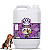 Shampoo Uva 5 Litros - Vetys - Imagem 1