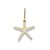 Estrela Decorativa De Parede Bege em Resina 23 cm - Imagem 1