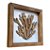 Kit 2 Quadros Coral e Peixe Decoração Náutica de Parede - Imagem 5