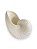 Vaso Decorativo Concha Nautilus Off White em Cerâmica - Imagem 3