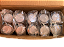 10 pçs Sinaleiro Led Branco 220V SLDS2205 Steck - Imagem 2