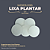 Suporte para Lixa Plantar - Thimon - Imagem 1
